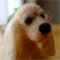 2007�S�y